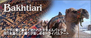 Camel Bag Horgin